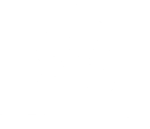 L-train Lit Fitness
